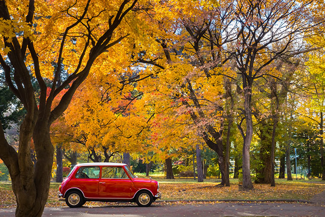 夢占い 車の夢の意味は 初夢 正夢 夢診断 無料占いcoemi コエミ 当たる無料占いメディア