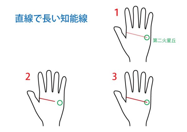 手相占い 知能線 無料占いcoemi コエミ 当たる無料占いメディア