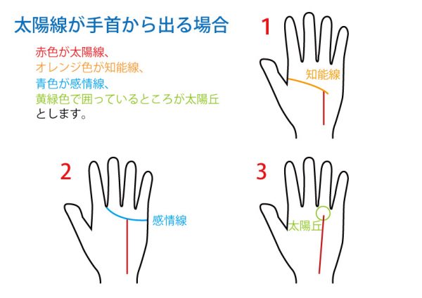 手相占い 太陽線 無料占いcoemi コエミ 当たる無料占いメディア