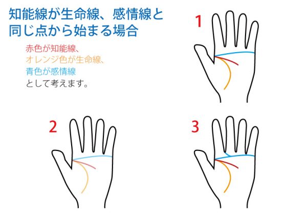 手相占い 知能線 無料占いcoemi コエミ 当たる無料占いメディア