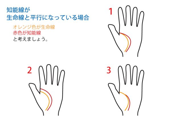 手相占い 知能線 無料占いcoemi コエミ 当たる無料占いメディア