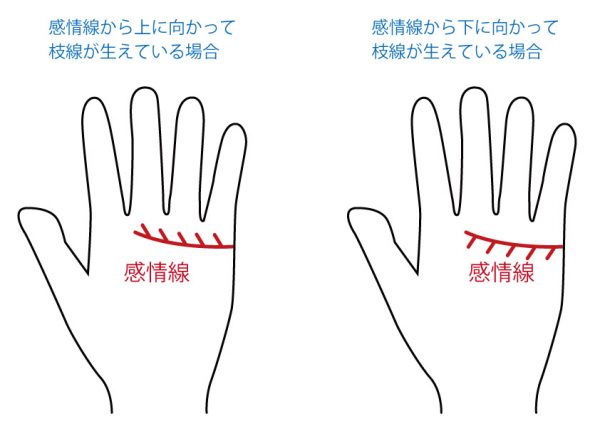 二股 感情 線 ［手相占い］二重感情線の意味と見方10種類！右手左手両手で違う？