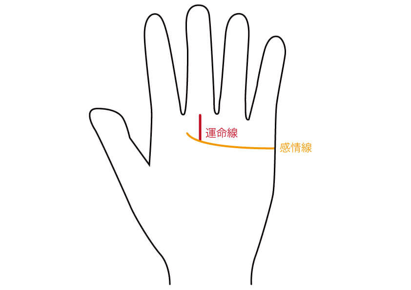 運命線から あなたの人生の転機 が何歳でやってくるか分かる 手相占い 無料占いcoemi コエミ 当たる無料占いメディア