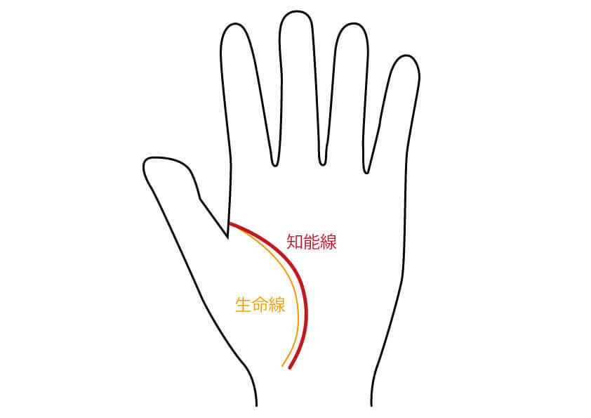 天然な人の手相には 不思議ちゃん線 がある 手相占い 無料占いcoemi コエミ 当たる無料占いメディア