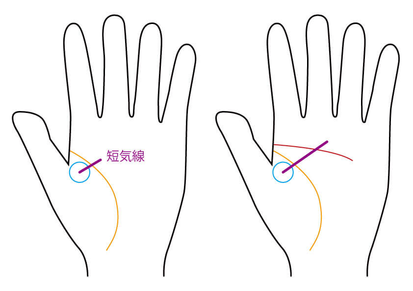 あなたが短気か気長か手相で分かります 無料占いcoemi コエミ 当たる無料占いメディア
