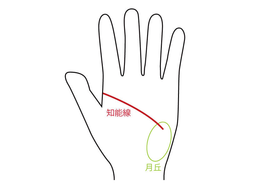 手相からあなたの性格をズバリ解説 あなたの知能線はどのタイプ 無料占いcoemi コエミ 当たる無料占いメディア