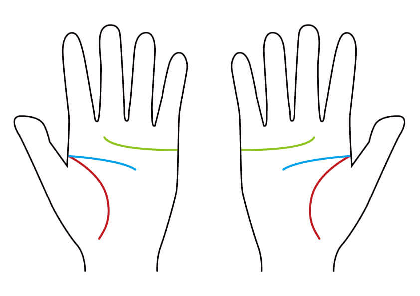 あなたは人生に満足してる 左右の手相の違いで人生の満足度が分かります 無料占いcoemi コエミ 当たる無料占いメディア