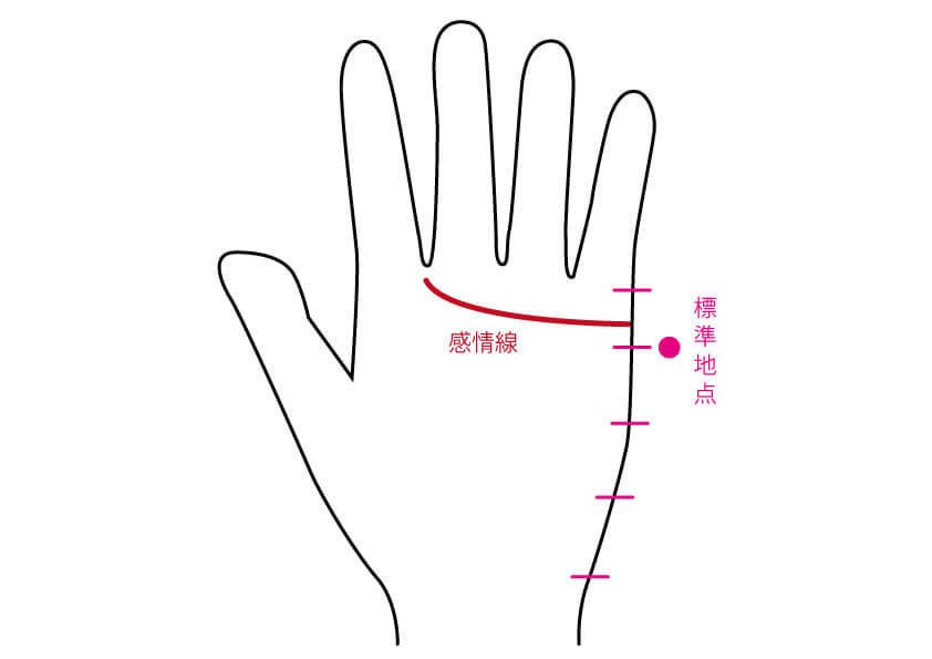 手相で文系か理系か分かる あなたはどっちのタイプ 無料占いcoemi コエミ 当たる無料占いメディア