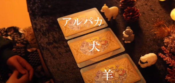 🌟3年後のあなたからメッセージ🌟タロット占い&オラクルカードリーディング