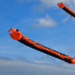 夢占い 蟻の夢の意味は 初夢 正夢 夢診断 無料占いcoemi コエミ 当たる無料占いメディア